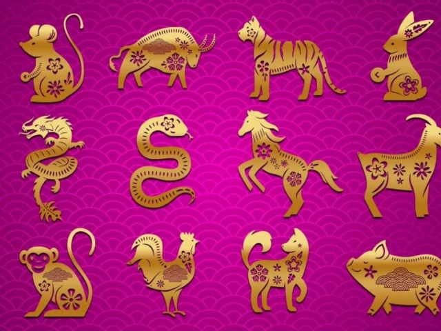 the chinese zodiac follows a 12 year cycle with each year dedicated to one of the animals photo pexels the chinese zodiac follows a 12 year cycle with each year dedicated to one of the animals photo pexels