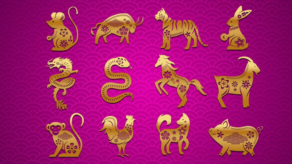 the chinese zodiac follows a 12 year cycle with each year dedicated to one of the animals photo pexels