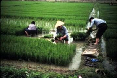 learning from china learning from china