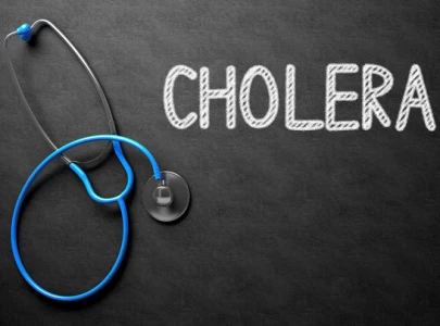 cholera outbreak in ethiopia claims 31 lives infections surpass 1 500