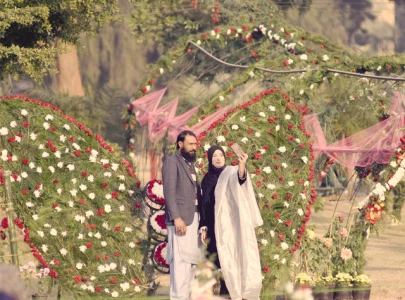 ode to chrysanthemum flower show ode to chrysanthemum flower show