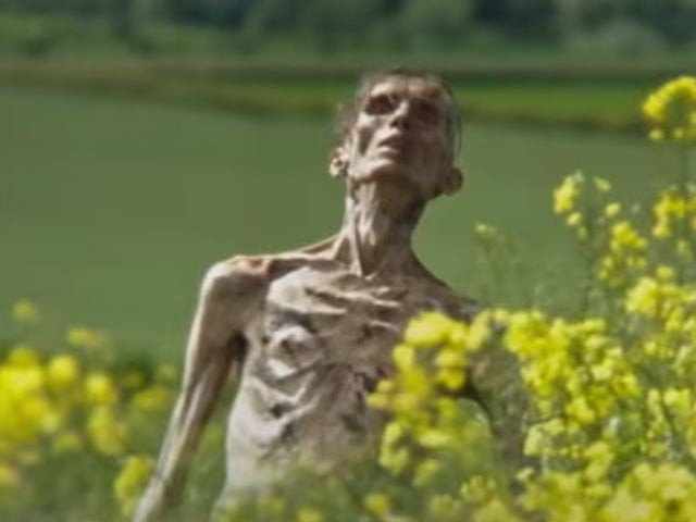 it s angus neill not cillian murphy as zombie in 28 years later it s angus neill not cillian murphy as zombie in 28 years later