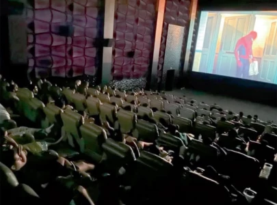 regional film culture witnesses decline