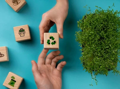 experts advocate circular economy