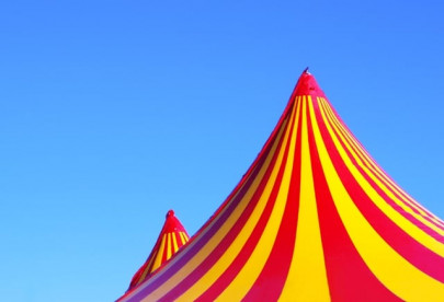 not so lucky irani gate crashers steal the show