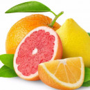 commerce minister stresses citrus quality enhancement commerce minister stresses citrus quality enhancement