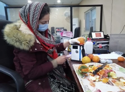 pakistani scientists develop ai method to determine citrus fruit sweetness