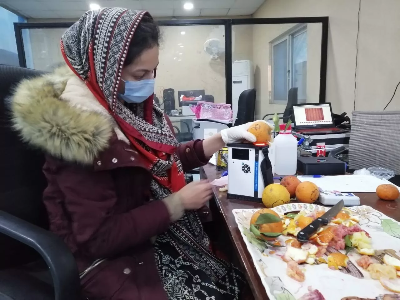 dr ayesha zeb is examining the citrus fruit from the marked areas in the laboratory photo courtesy national centre of robotics and automation at the national university of sciences and technology nust dr ayesha zeb is examining the citrus fruit from the marked areas in the laboratory photo courtesy national centre of robotics and automation at the national university of sciences and technology nust