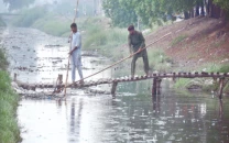 faisalabad to go green as fda reworks master plan faisalabad to go green as fda reworks master plan