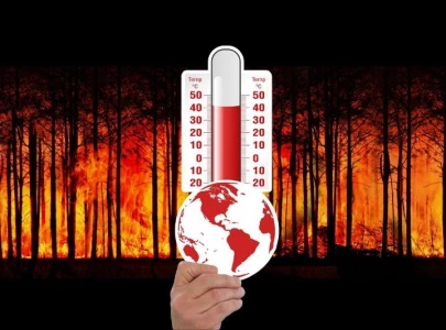 human induced climate change adds 41 days of extreme heat in 2024 human induced climate change adds 41 days of extreme heat in 2024