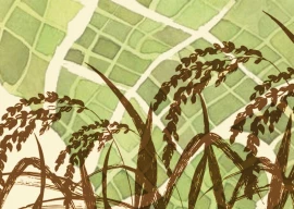 pakistan s shifting crop calendar