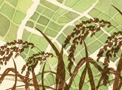 pakistan s shifting crop calendar pakistan s shifting crop calendar