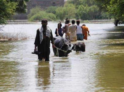 pakistan launches 50m climaventures initiative for resilience projects