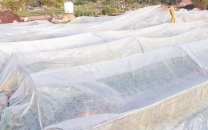 pakistan renews call for climate finance