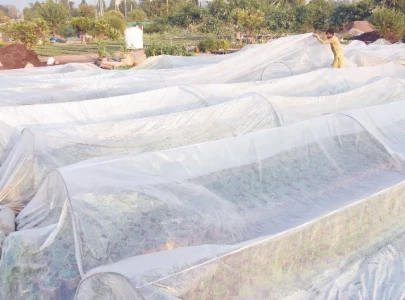 pakistan renews call for climate finance pakistan renews call for climate finance