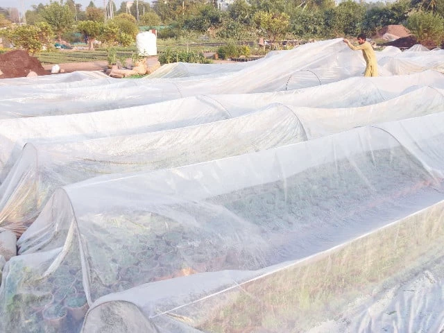 Pakistan renews call for climate finance