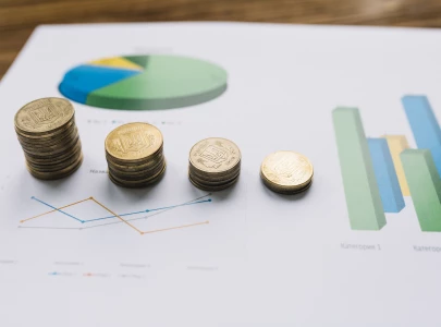 economic census highlights gaps economic census highlights gaps