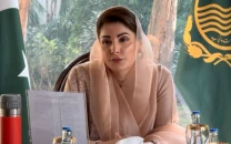 pml n pays tribute to martyrs