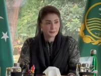 punjab chief minister maryam nawaz sharif chairs video link meeting to finalise cleanliness arrangements across province for eidul azha may 23 2026 screengrab