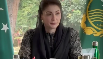punjab chief minister maryam nawaz sharif chairs video link meeting to finalise cleanliness arrangements across province for eidul azha may 23 2026 screengrab