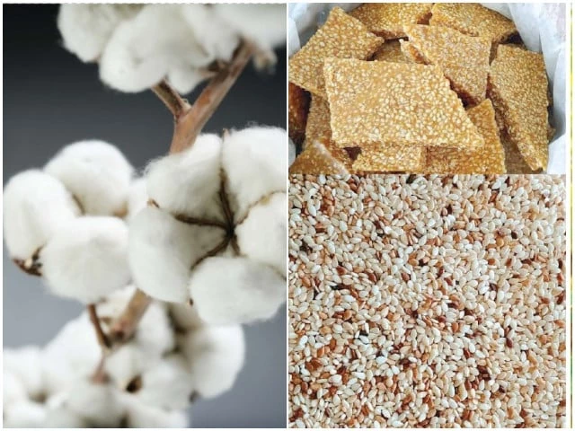 cotton and sesame