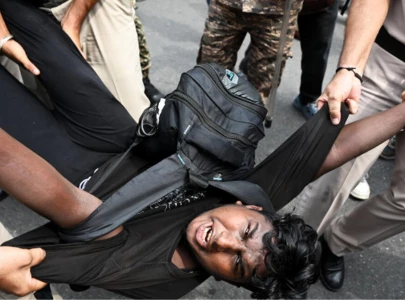 cockroach leaders released as protesters detained in india cockroach leaders released as protesters detained in india