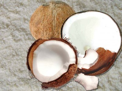 coconut the all in one fruit coconut the all in one fruit