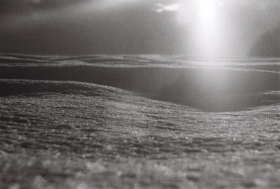 heavy price murdered in the cold