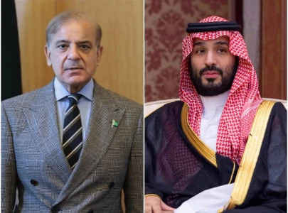 pm shehbaz reaffirms solidarity in talks with saudi crown prince after iran attack on energy facilities