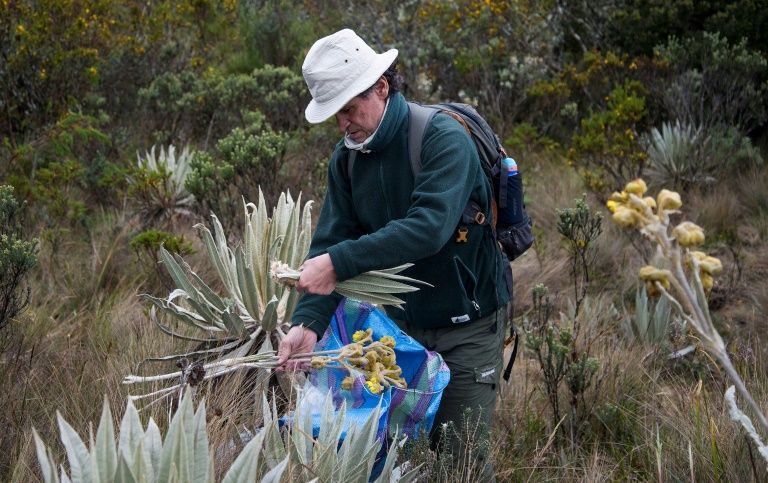Colombia is second only to Brazil in terms of biodiversity. PHOTO: AFP