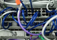 lan network cables plugged into a computer server as cyber agencies warn that websites may be taken offline while php prepares a critical fix in berlin germany october 21 2026 photo reuters