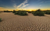 pakistan s soil dying experts warn pakistan s soil dying experts warn