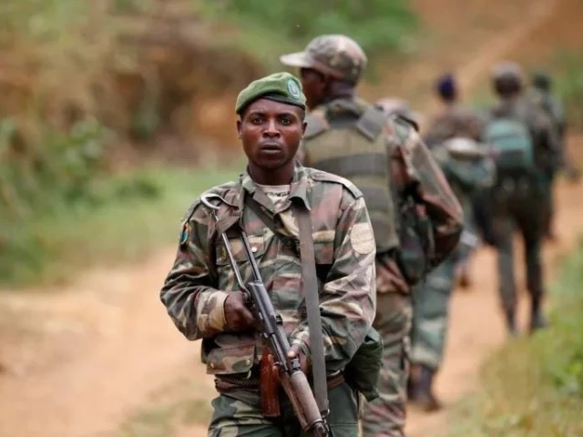 the congolese military is undertaking joint operations with ugandan forces against the allied democratic forces adf photo reuters the congolese military is undertaking joint operations with ugandan forces against the allied democratic forces adf photo reuters