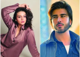 stay connected to your roots stay connected to your roots