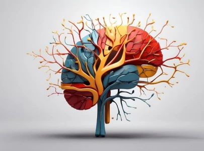 scientists discover memory functions in body cells beyond the brain scientists discover memory functions in body cells beyond the brain