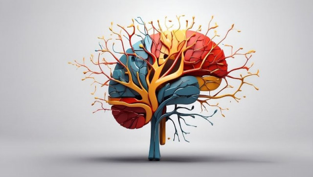 scientists discover memory functions in body cells beyond the brain scientists discover memory functions in body cells beyond the brain