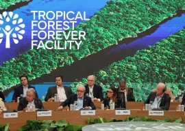 takaichi invents a china crisis