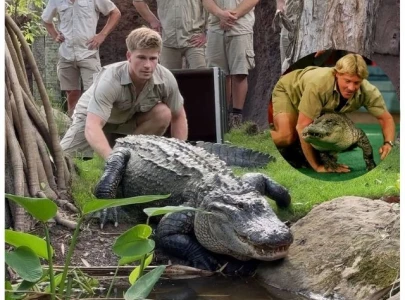 steve irwin s son robert irwin s new venture includes reptiles and underwear in bold bonds campaign steve irwin s son robert irwin s new venture includes reptiles and underwear in bold bonds campaign