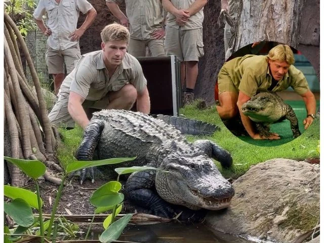 instagram instagram