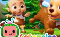 cocomelon leaves netflix for disney cocomelon leaves netflix for disney