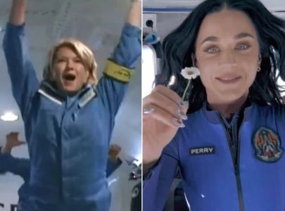 martha stewart joins online trolls taking aim at katy perry and blue origin astronauts