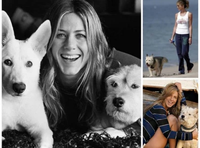 jennifer aniston recalls how friends led her to adopt first rescue dog jennifer aniston recalls how friends led her to adopt first rescue dog