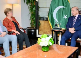 pm shehbaz urges imf to factor flood damage into bailout review pm shehbaz urges imf to factor flood damage into bailout review
