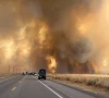 silver fire in california spreads rapidly no containment reported silver fire in california spreads rapidly no containment reported