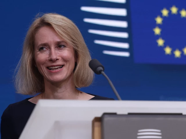 estonia s prime minister kaja kallas takes part in a press conference during a european union leaders summit in brussels belgium june 28 2024 reuters yves herman file photo estonia s prime minister kaja kallas takes part in a press conference during a european union leaders summit in brussels belgium june 28 2024 reuters yves herman file photo