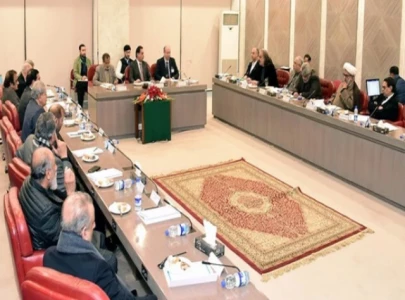 government offers fresh talks to pti