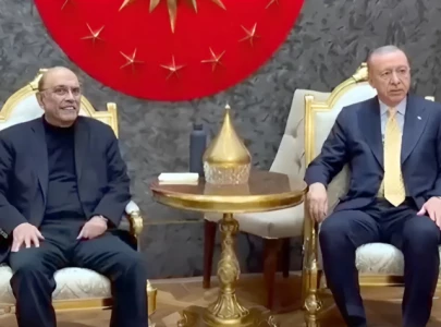 president zardari meets turkey s erdogan during istanbul stopover president zardari meets turkey s erdogan during istanbul stopover