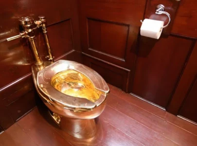 thieves found guilty over 6 2m gold toilet theft at blenheim palace thieves found guilty over 6 2m gold toilet theft at blenheim palace