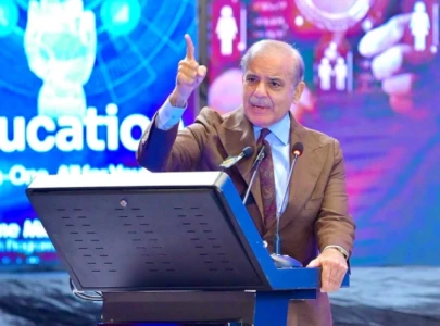 nations can t progress through imf programmes says pm shehbaz