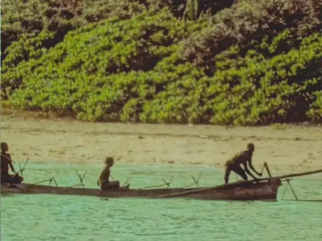 the sentinelese are a pre neolithic tribe that rejects contact with the modern world picture alamy the sentinelese are a pre neolithic tribe that rejects contact with the modern world picture alamy